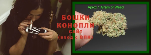 амф Аркадак